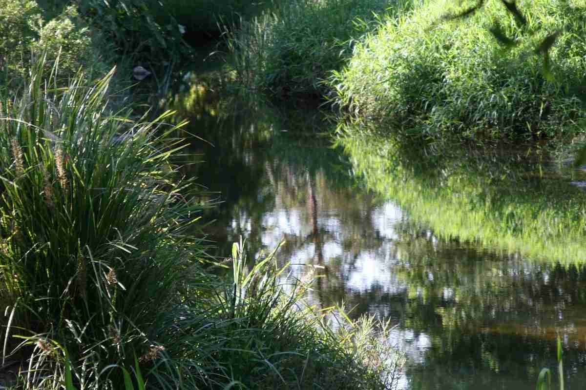 stream