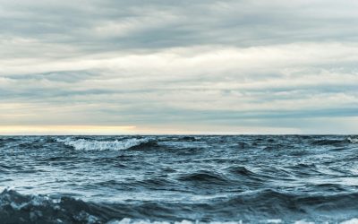 Into the Ocean